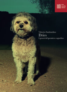- - Dries cop